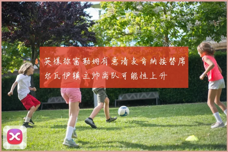 英媒称富勒姆有意请麦肯纳接替席尔瓦伊镇主帅离队可能性上升