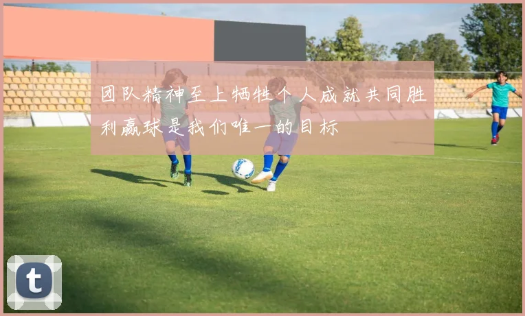 团队精神至上牺牲个人成就共同胜利赢球是我们唯一的目标